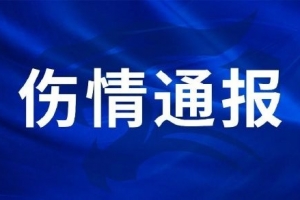 最新厄瓜多尔vs德国直播全场录像_最新厄瓜多尔vs德国直播全场录像在线观看_免费看直播