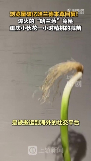 佛山“西甲”香港圣徒vs广州玉岩比分预测_佛山“西甲”香港圣徒vs广州玉岩比分预测在线观看_免费看直播