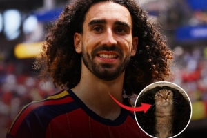 免费NBA篮网vs国王比赛回放_免费NBA篮网vs国王比赛回放在线观看_免费看直播