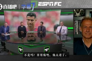 厄瓜多尔vs德国直播cctv5